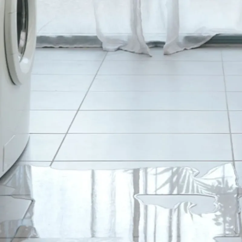 Appliance Leak Cleanup in Boca Del Mar, FL